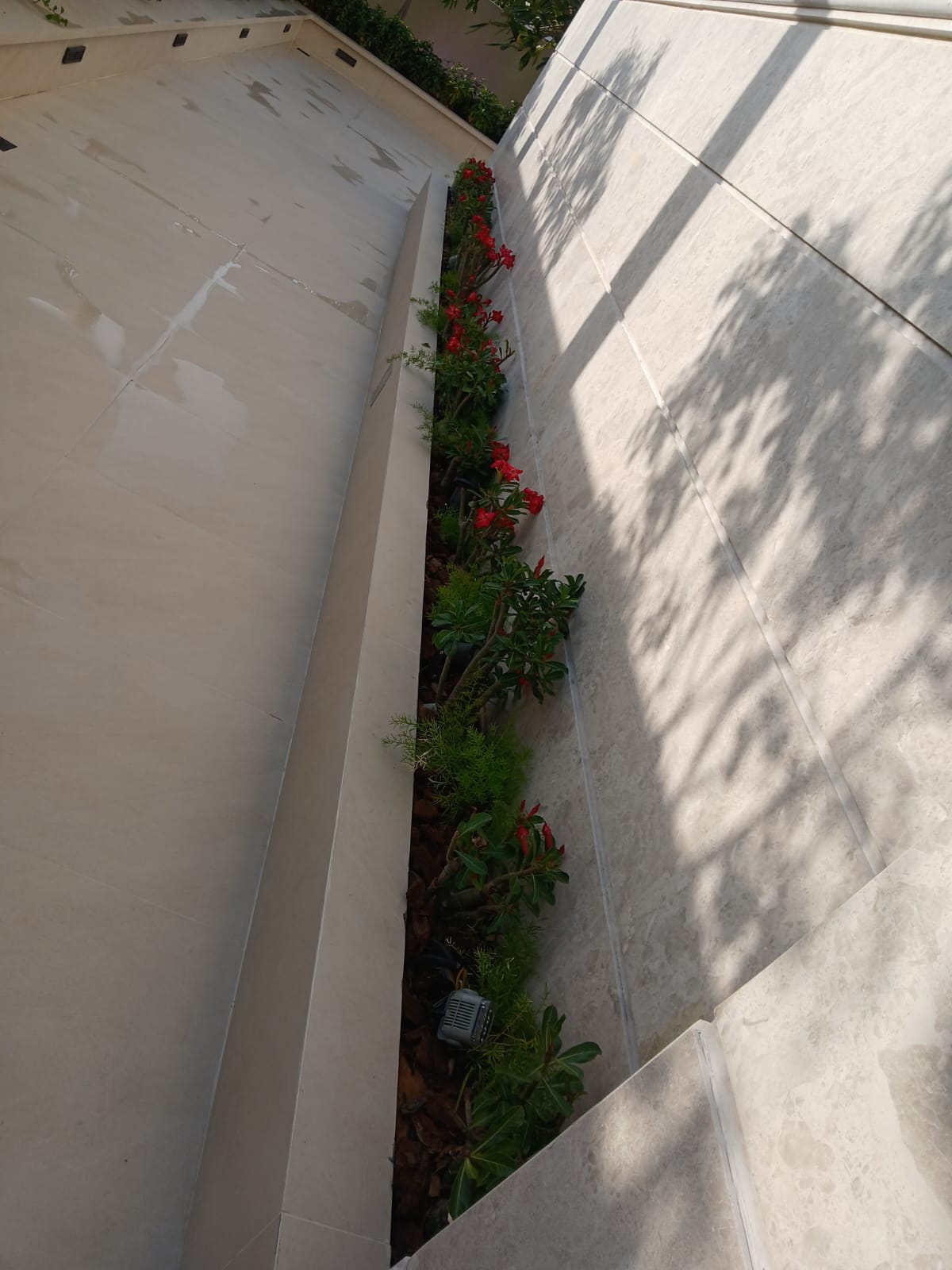 VILLA 146 image 32